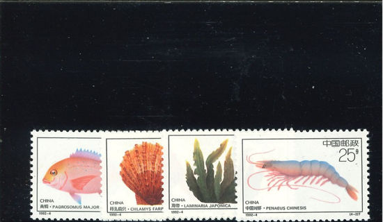 Immagine di 2420 - PESCI 4v