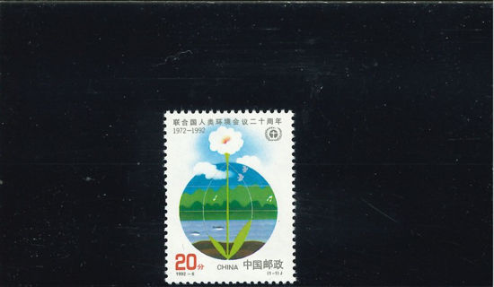 Immagine di 2425 - 20' CONFERENZA NATURA 1v