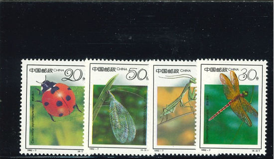 Immagine di 2426 - INSETTI 4v