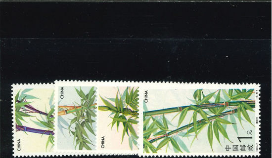 Immagine di 2478 - BAMBU' 4v