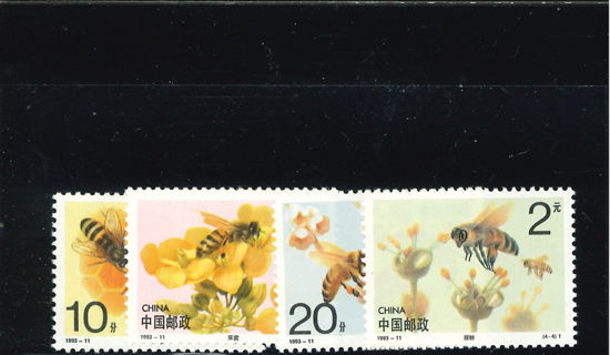 Immagine di 2497 - API dent.11½ 4v