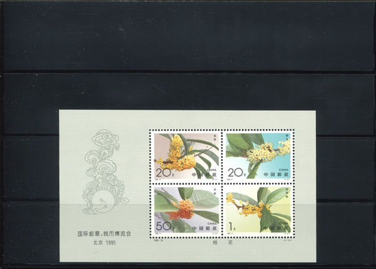 Immagine di 74A - FIORI (Osmanthus 4v) V.1