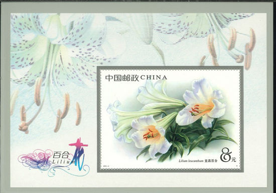 Immagine di 110 - FIORI LILIUM 8y V.1