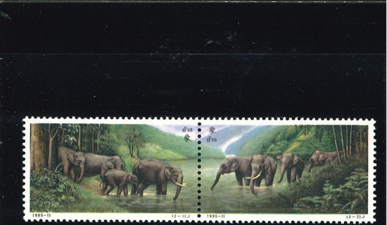 Immagine di 2616 - cp.AMICIZIA TAILANDIA elef. 2v