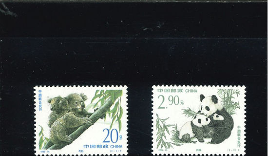 Immagine di 2630 - PANDA E KOALA 2v