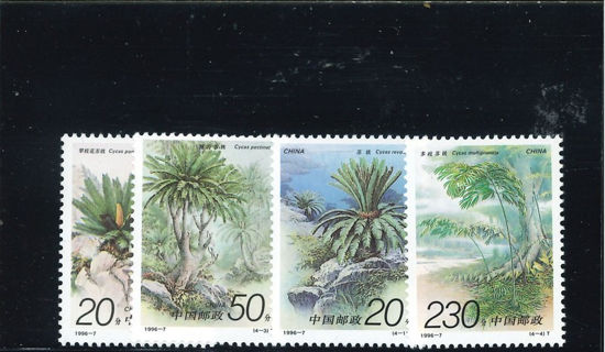 Immagine di 2708 - PIANTE CICAS 4v