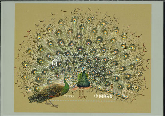 Immagine di 118 - PAVONE REALE 6y V.1