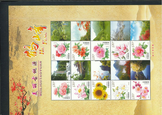 Immagine di 4285A - FIORI+app. 1MF