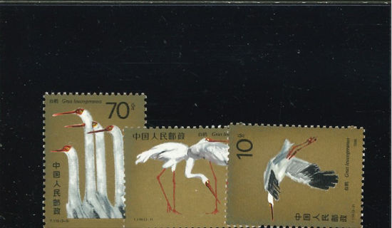 Immagine di 2074 - GRU IN VOLO 3v