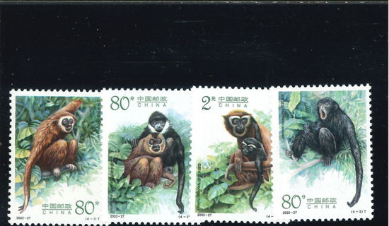 Immagine di 3412 - SCIMPANZE' 4v