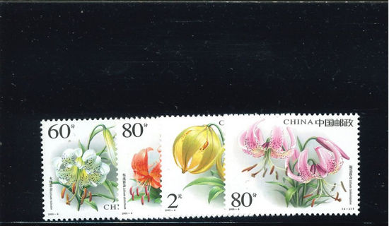 Immagine di 3425 - FIORI LILIUM 4v