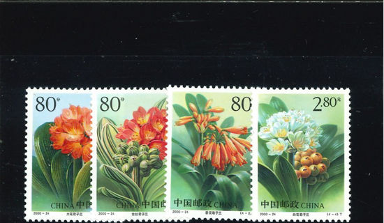 Immagine di 3198 - FIORI (clivie) 4v