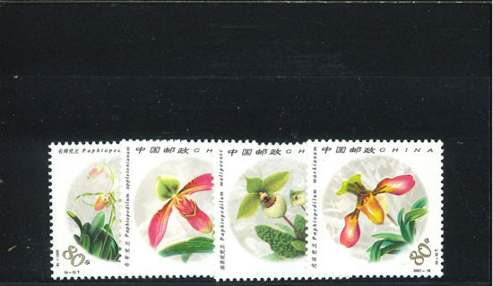 Immagine di 3277 - ORCHIDEE 4v