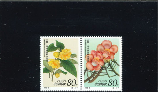 Immagine di 3327 - cp.FIORI 2v