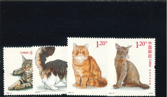 Immagine di 4504 - GATTI 4v