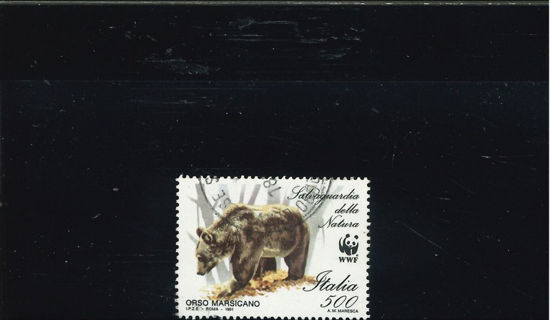 Immagine di 1977 - ANIMALI ORSO 500 L.