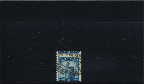 Immagine di 555u - DEMOCRATICA 5 L.