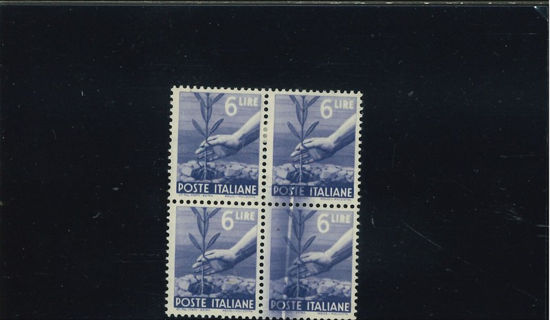 Immagine di 556 - DEMOCRATICA 6 L.